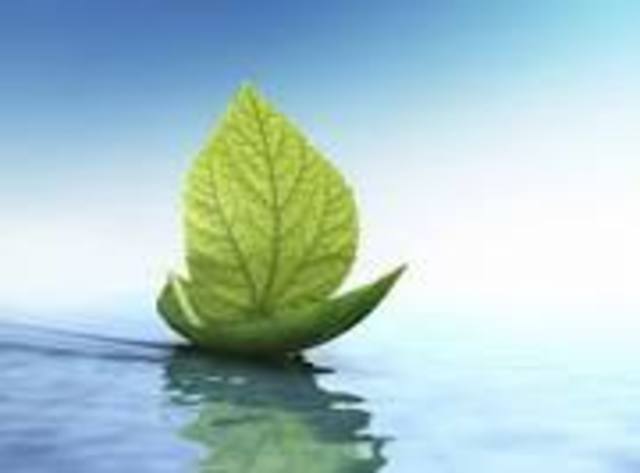 inauguracion de nueva sede en cartago