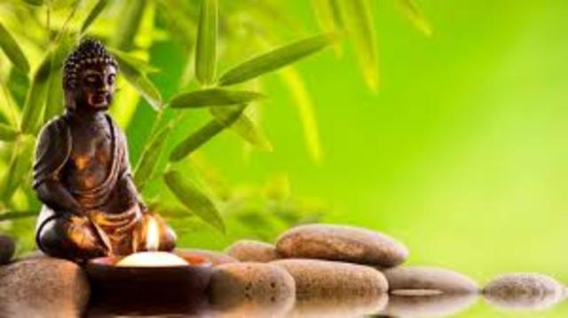 creacion de nuevos programas corporativos