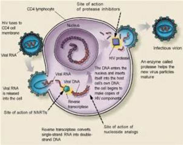 HIV Protease Inhibitor