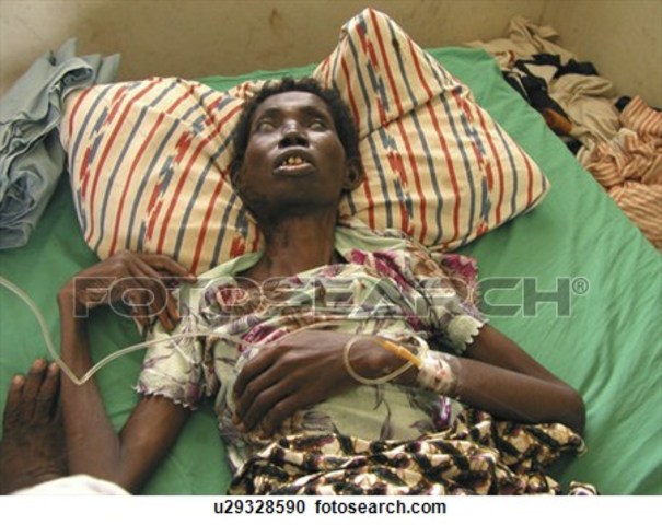 Lei do Seguro Doença