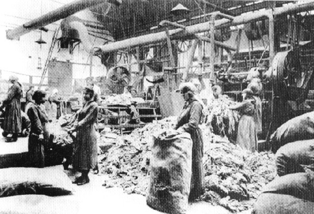 Europe gets its first paper mill