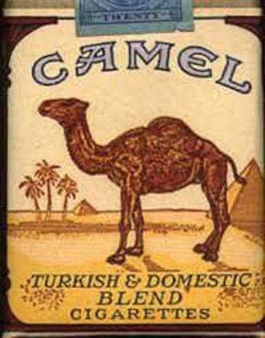 Camel begins advertising