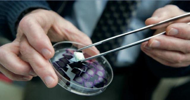 Gran escala (LSI de Large Scale Integration)