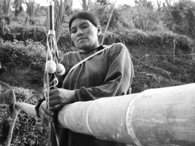 LA FUERZA DEL OMBLIGO