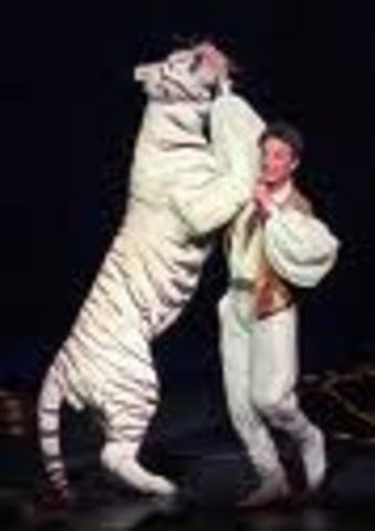 Roy Horn Attacked By A Tiger