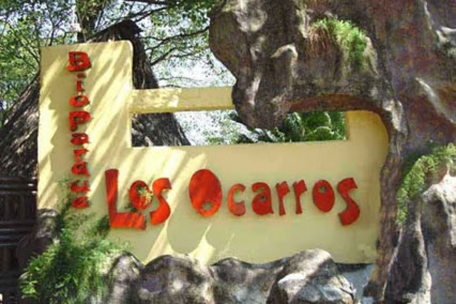 UN DIA EN LOS OCARROS