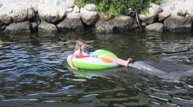 Dolphin Research Center