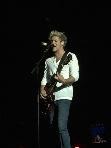 One Direction Concert