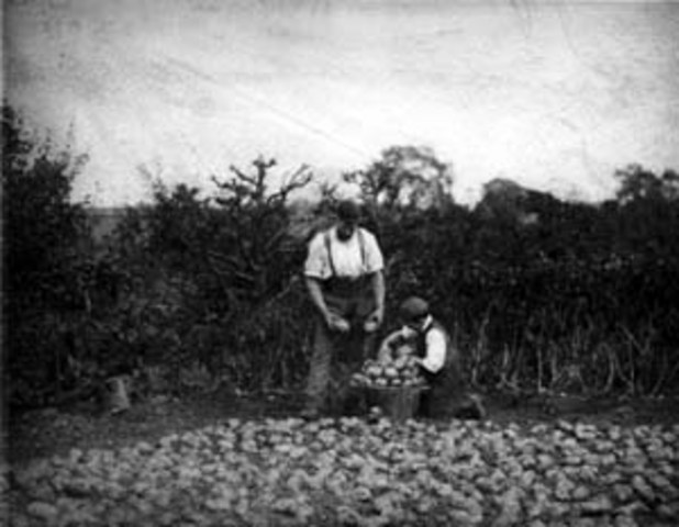 End of Civil War end of slavery