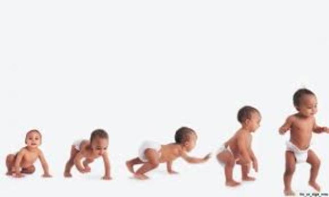 Aprendi a Caminar ...