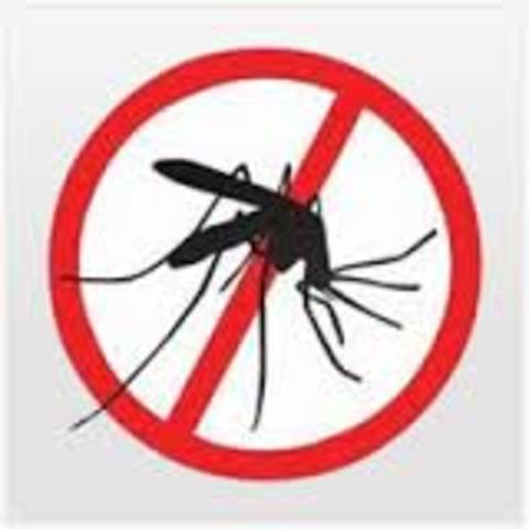 Fui Hospitalizado por Dengue