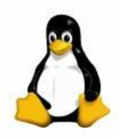 Salida de Linux