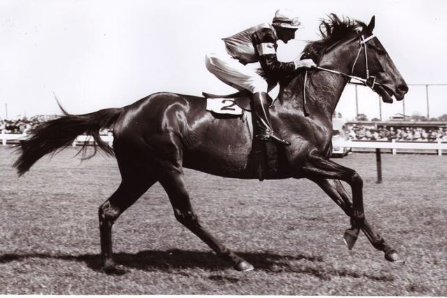 Phar Lap wins Melbourne cup