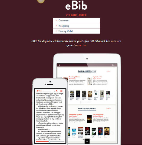 Prosjektleder for eBib.no