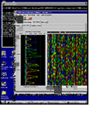 Full-scale Human Genome Sequencing