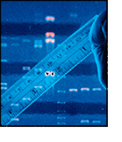 Human Gene Map Created