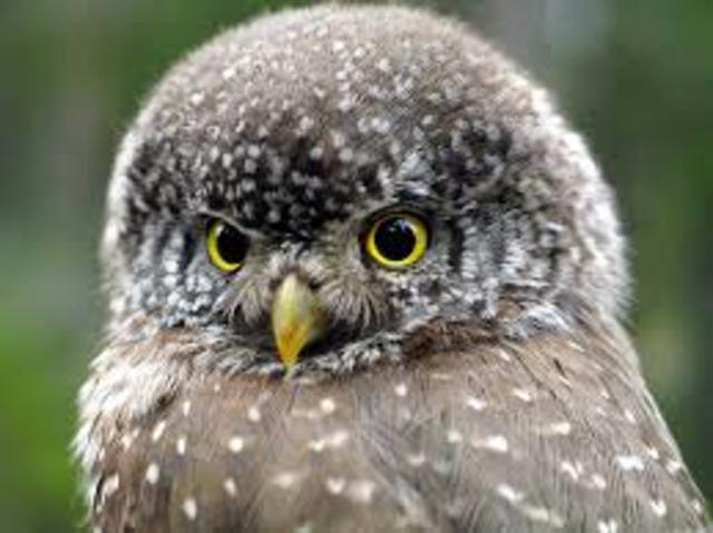 My best friend was born!