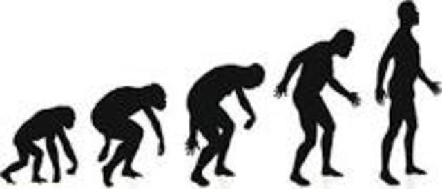 EVOLUCION HUMANA