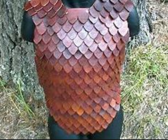 scaled chinese armour.