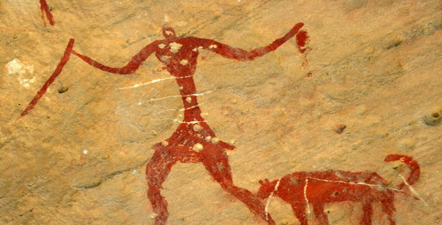 Los perros llevan cargamentos