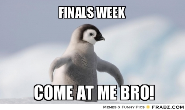 Senior year Finals