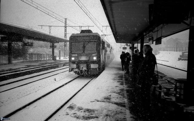 Transportes terrestres