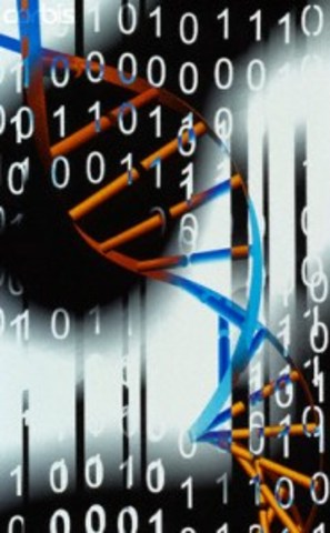 Computadoras Moleculares.