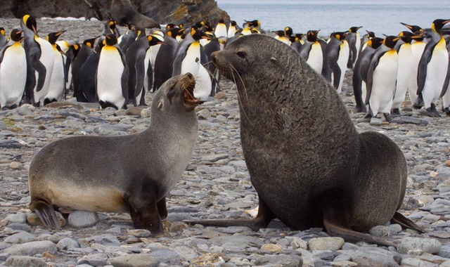 John Davis first set foot on Antarctica