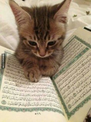 Connection between my Master's Level Reading class and my teaching