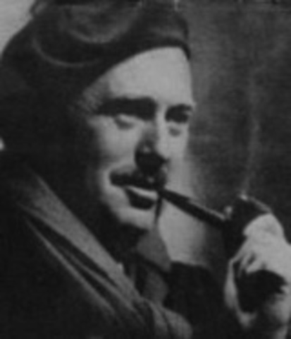 leewenhooek descubre los protozoos