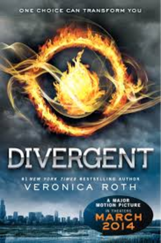 Divergent By Veronica Roth (9)