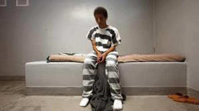 Education and Juvenile Law are combined.