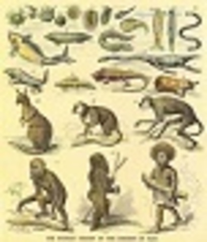 Publicación del Origen de las especies