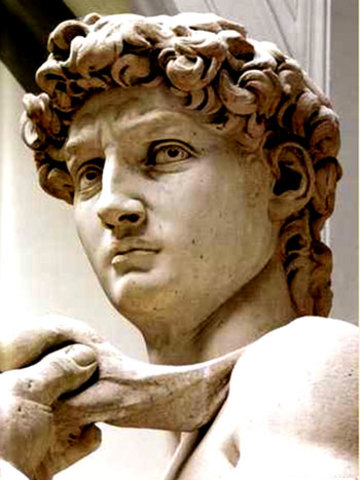 Se inicia construccion  de El "David".