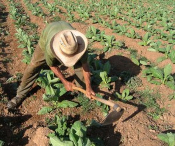 Decreto sobre repartimiento de tierras