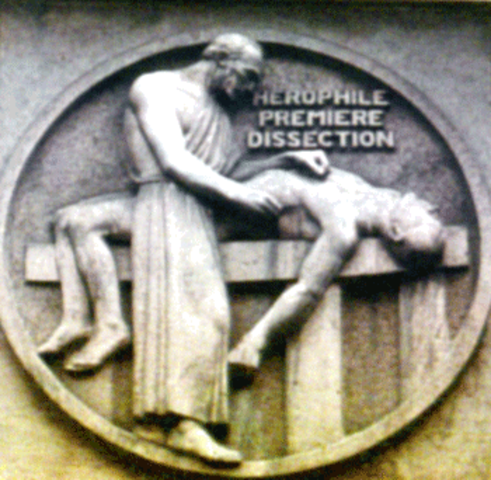 ac. Herófilo y Erasístrato - Grecia