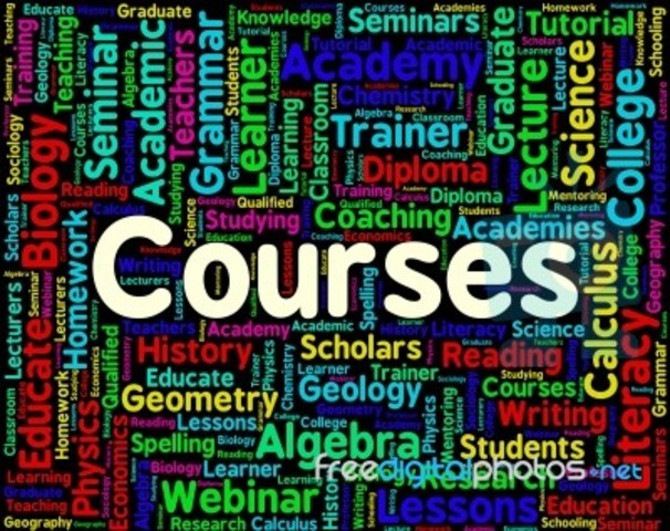 Student Blended Learning Course Selection