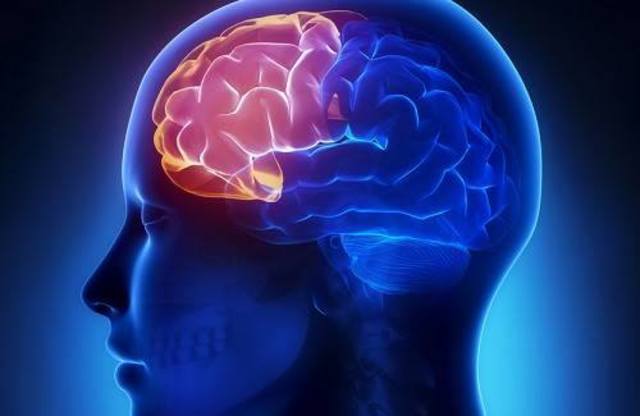 Kar Lashley - EE.UU.