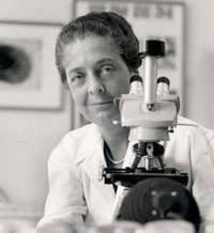 Rita Levi-Montalcini - Italia