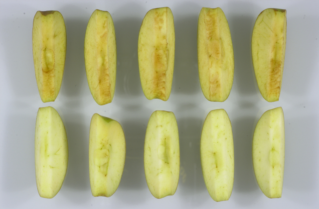 GMO apples approved in US