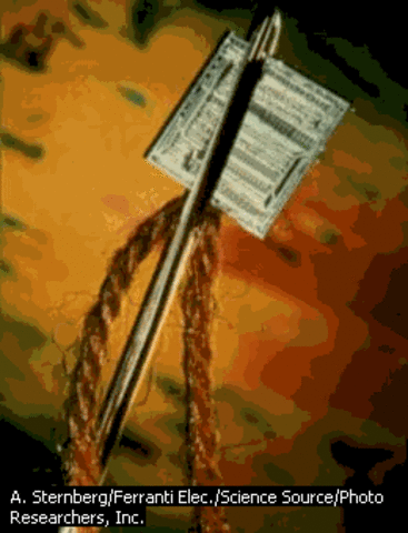 Computadoras más pequeñas.