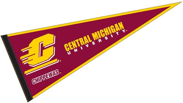 CMU Acceptance Letter