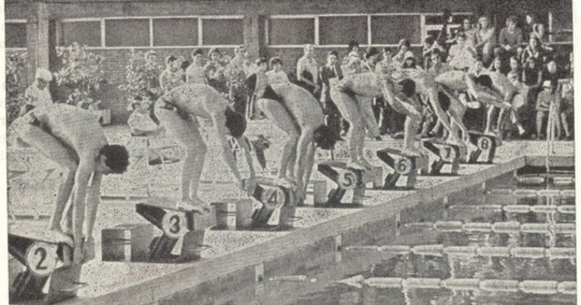 Natacion competitiva