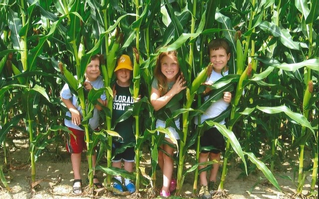 FIrst Apperance in a Magazine