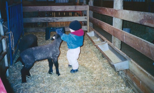 The Start of my Career in Agriculture