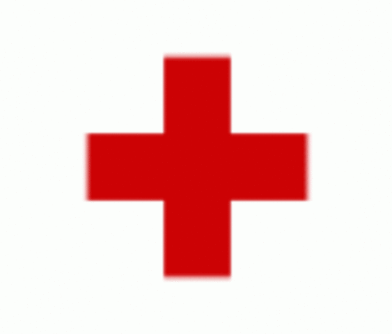 Aprovação do Estatuto da Sociedade