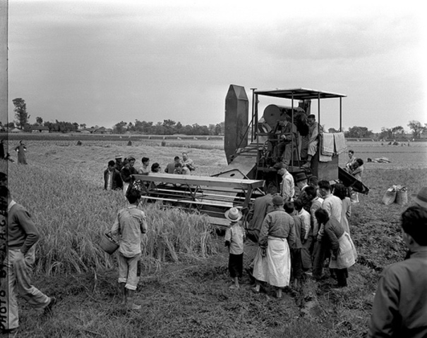 Farming in the 1950's and 1960's