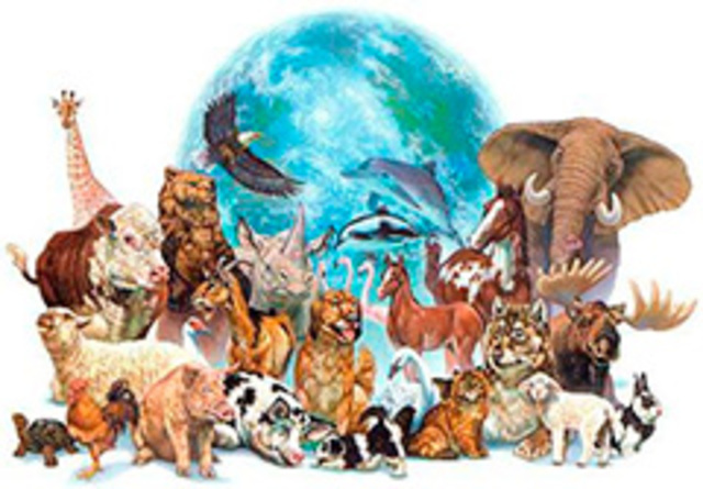 Congreso Internacional de Zoología