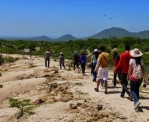 Se crea la Real Sociedad para la Conservación de la Naturaleza.