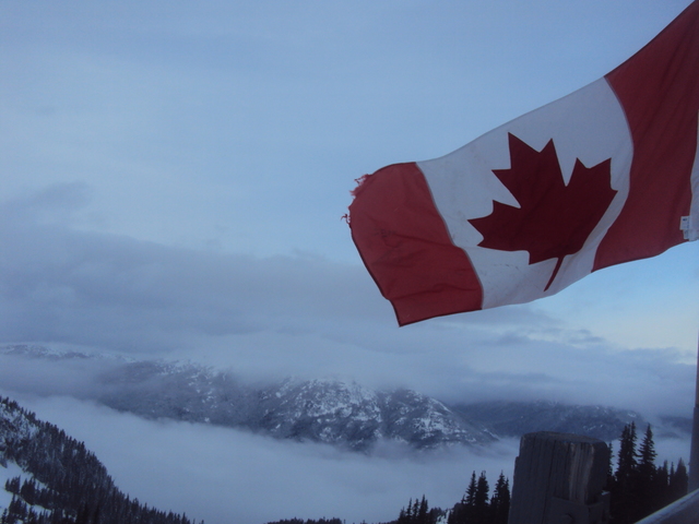 Vi neve pela primeira vez